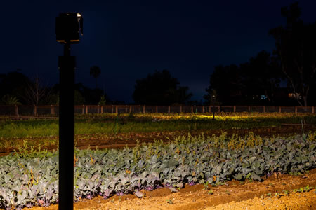 Encinitas Fox Point Farms Commercial Outdoor Lighting