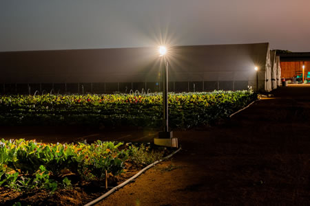 Encinitas Fox Point Farms Commercial Outdoor Lighting